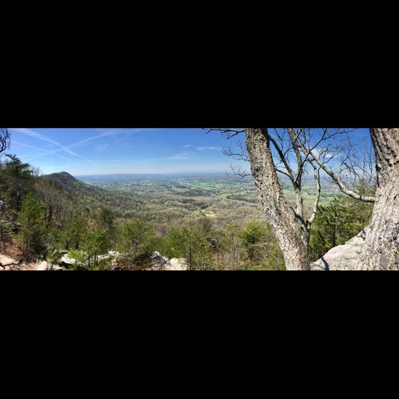 Meet your Posher, Lindsay - Picture 2 of 2